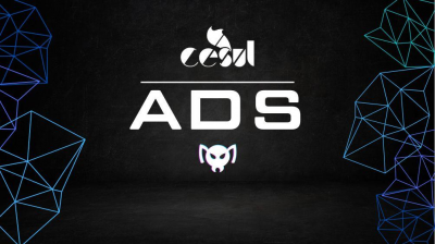 Modelos Organizacionais - ADM/ADS - 2025.1